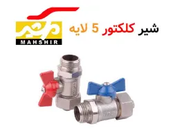 شیر کلکتوری مهشیر